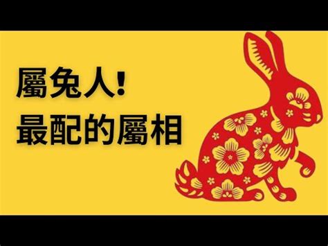 生肖兔配對|【生肖兔配對】屬兔者全面配對表！揭曉最佳姻緣、相沖禁忌